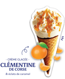 Cinto premier cone corse parfum cléméntine corse